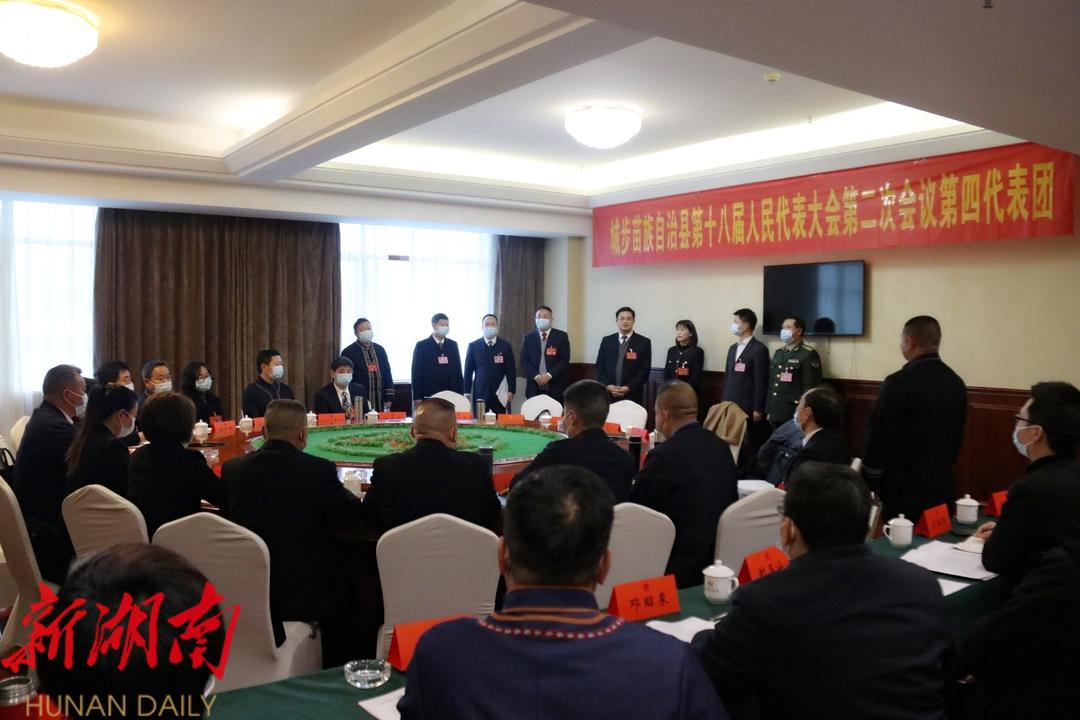 县人大代表分组讨论各项工作报告_邵阳头条网